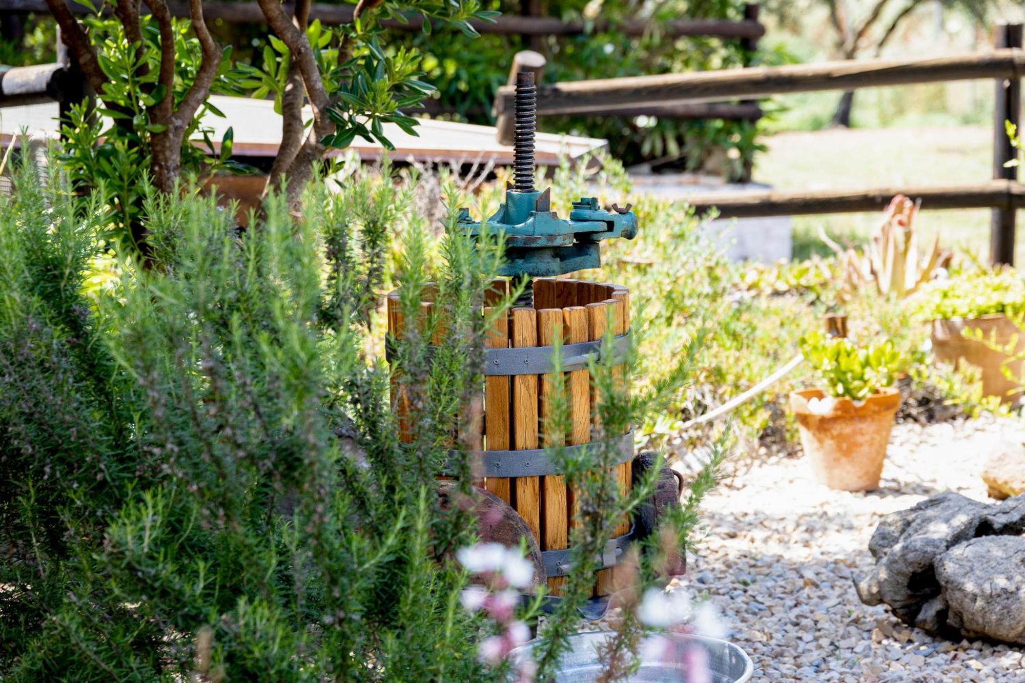Villa Saige , Piscina Ad Uso Esclusivo, Con Idromassaggio Alghero Exterior foto